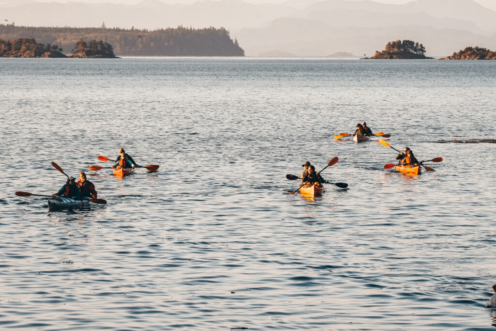 kayakers on north island kayak