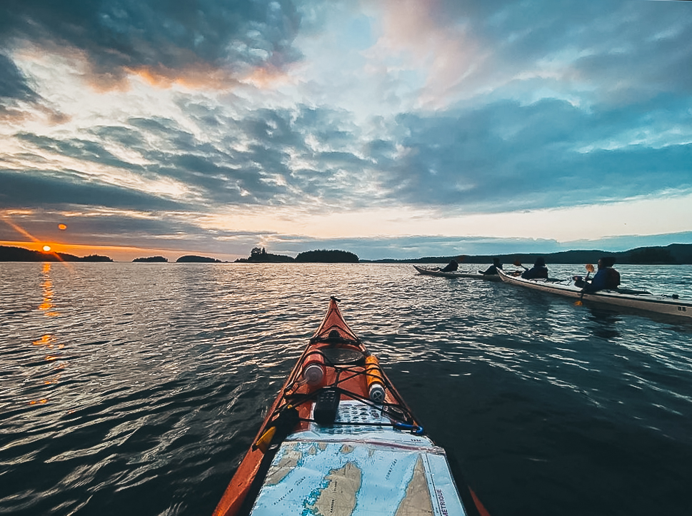 sunset kayaking in telegraph cove