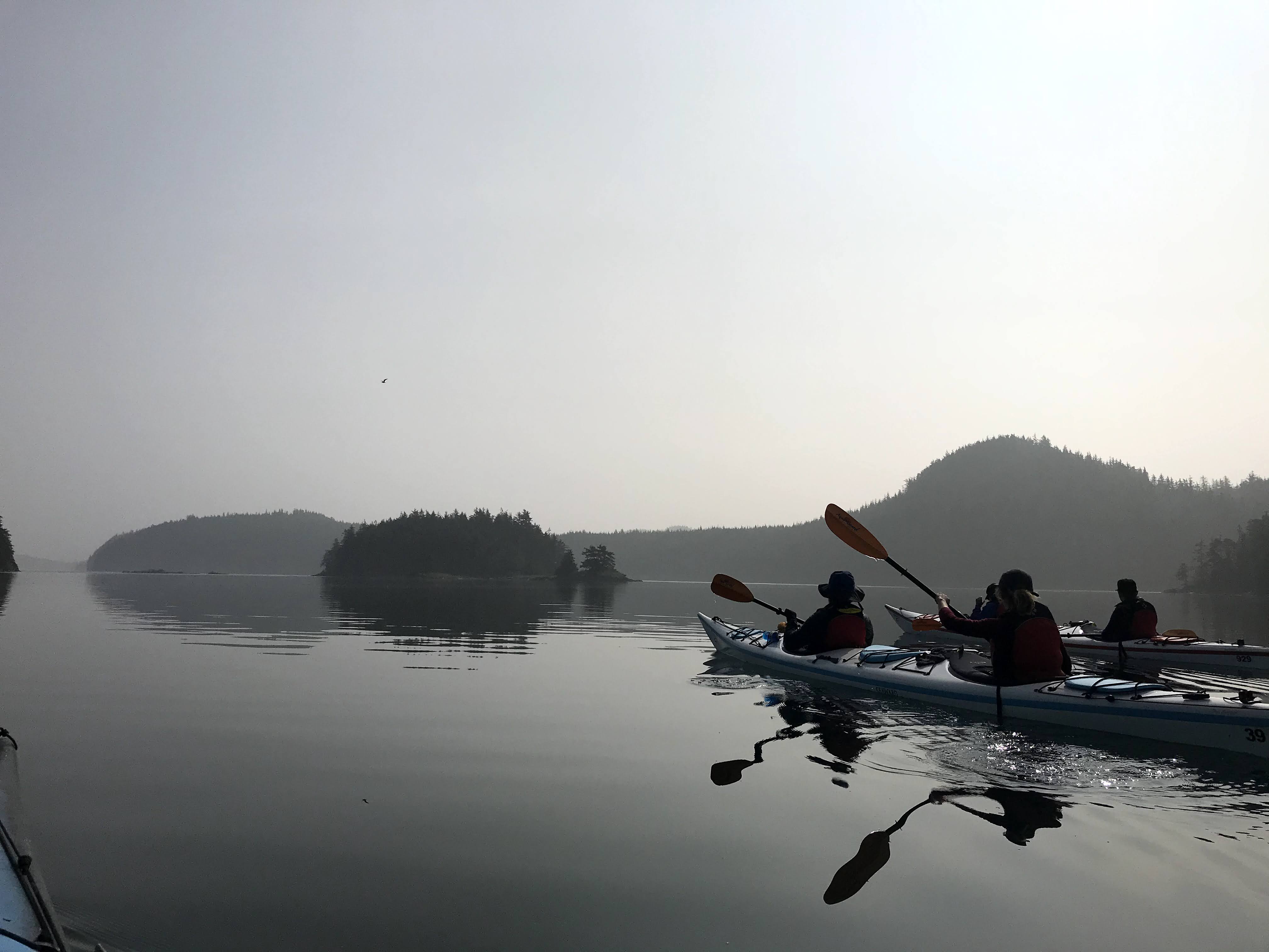 Kayakers paddling in morning fog