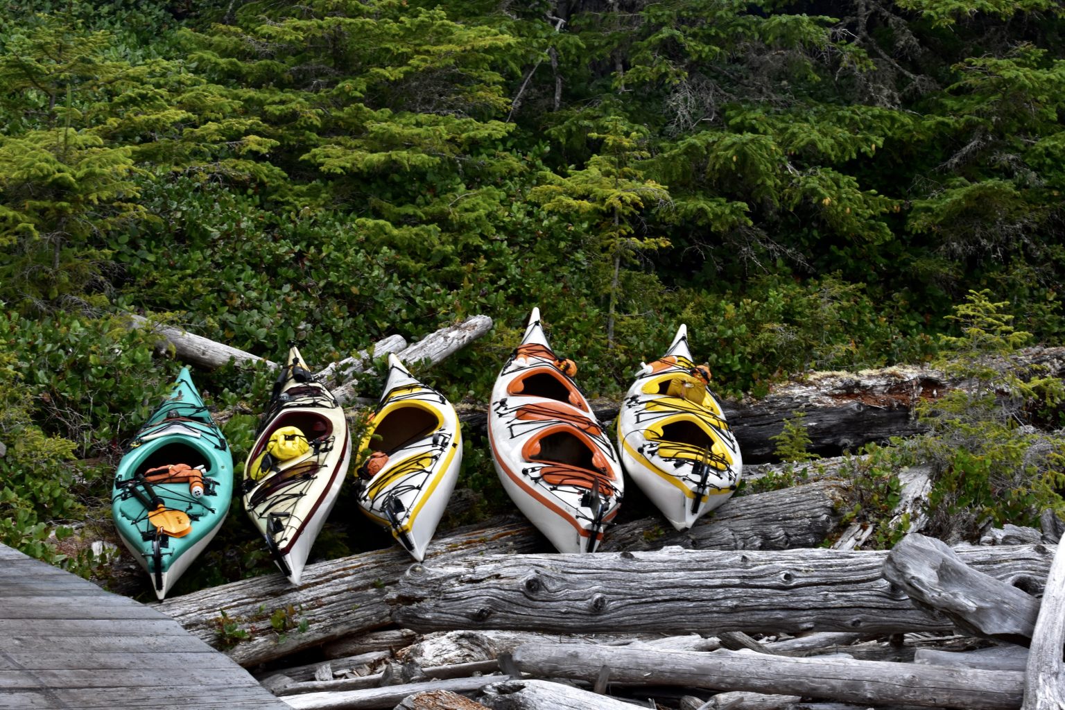 Home [kayakbc.ca]