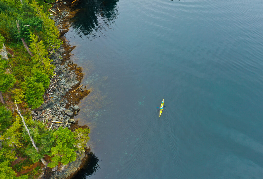 kayaking in telegraph cove