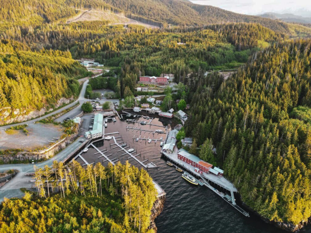 telegraph cove seen from above