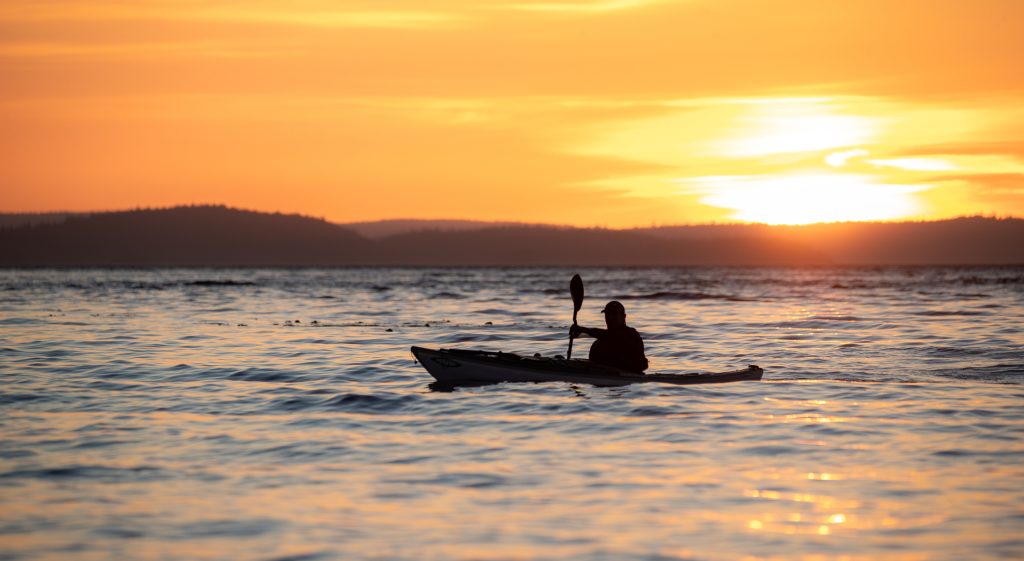 private adventures north island kayak