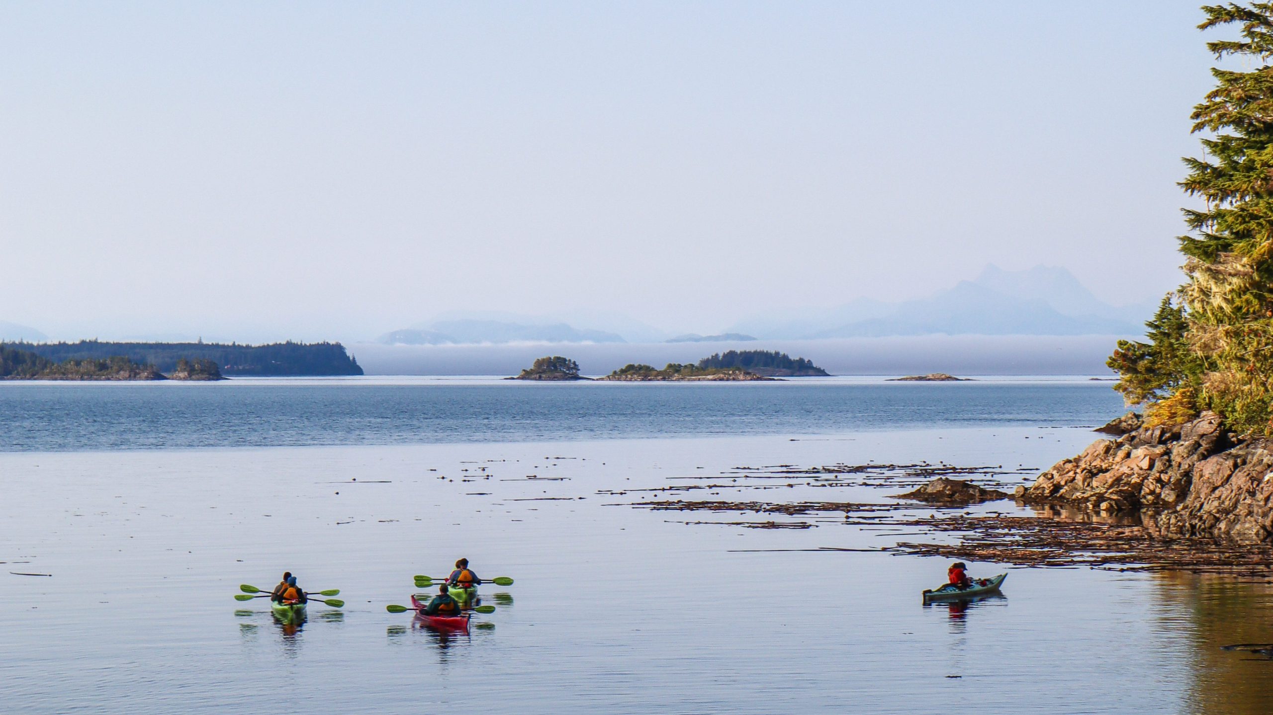 north island kayak kayaking tours