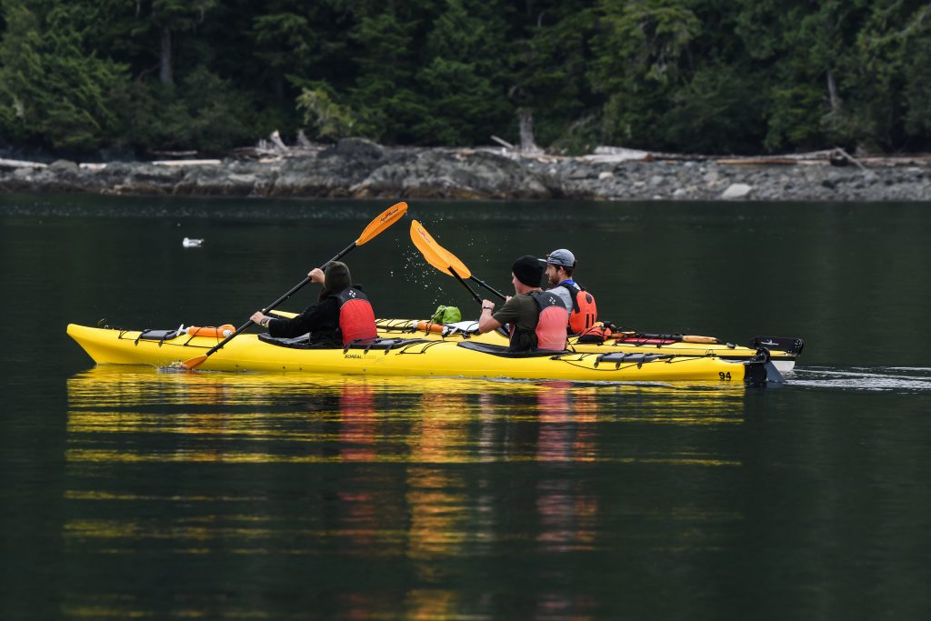 kayaking in telegraph cove