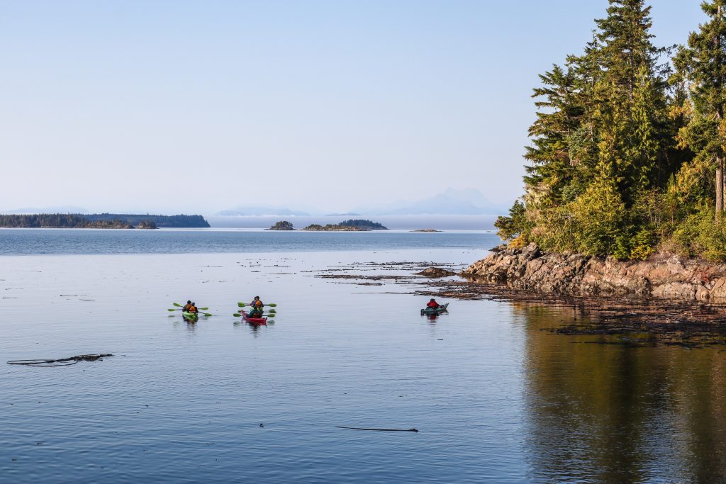 kayaking in telegraph cove