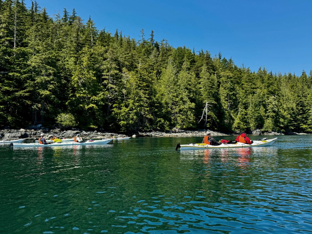 kayaking in telegraph cove