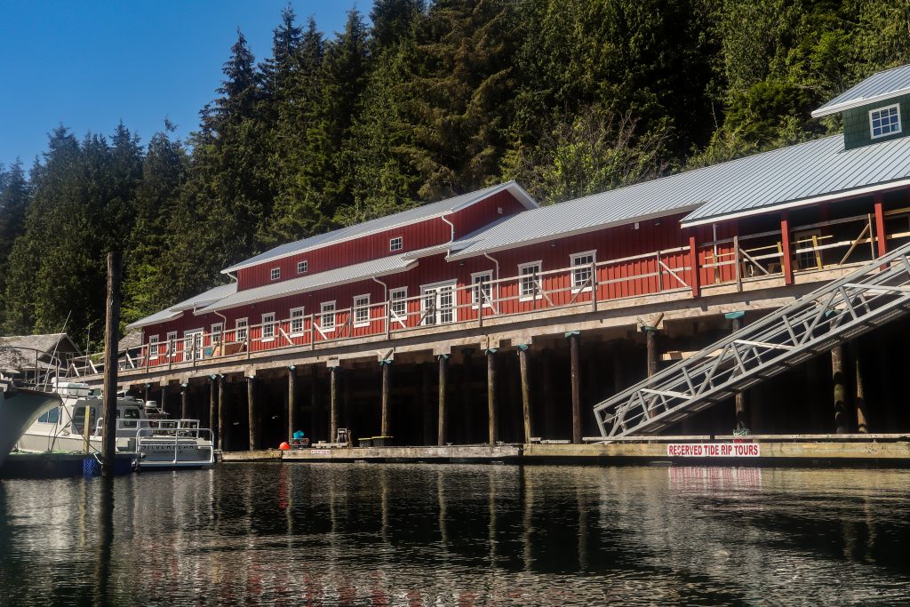 telegraph cove restaurant