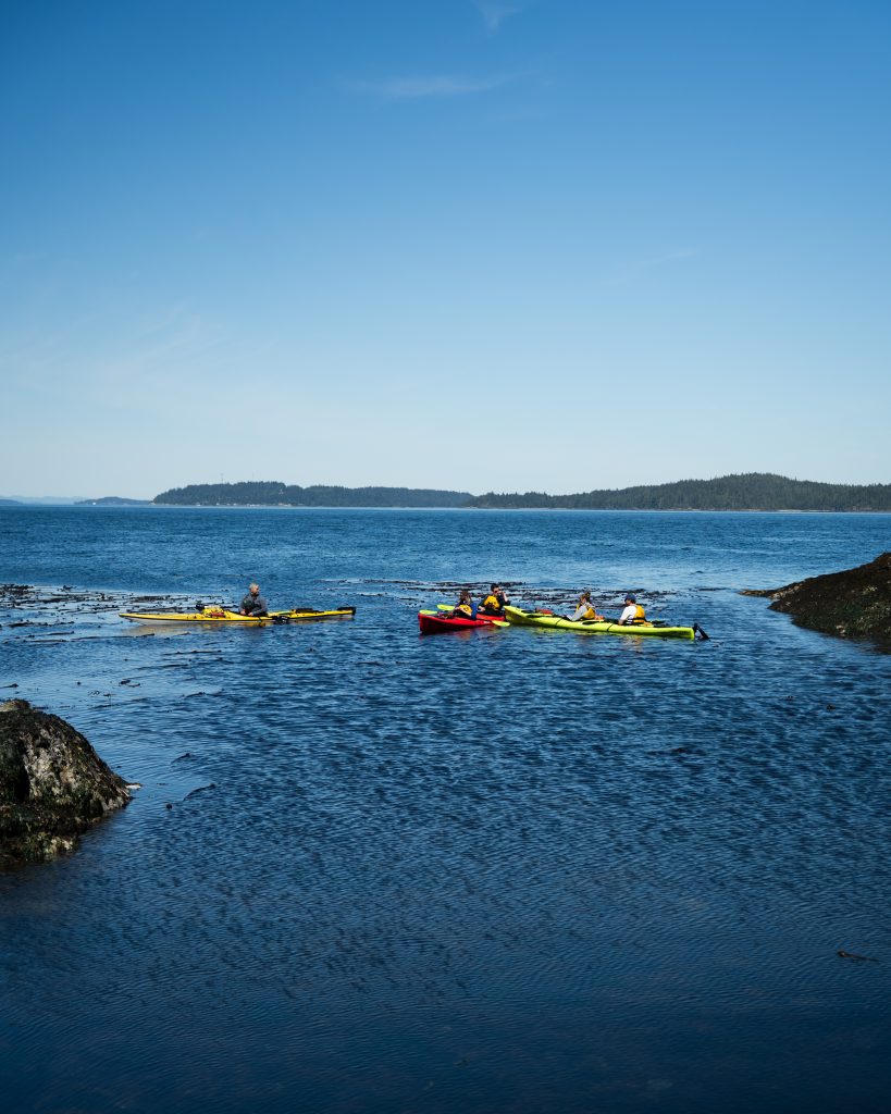 kayaking in telegraph cove