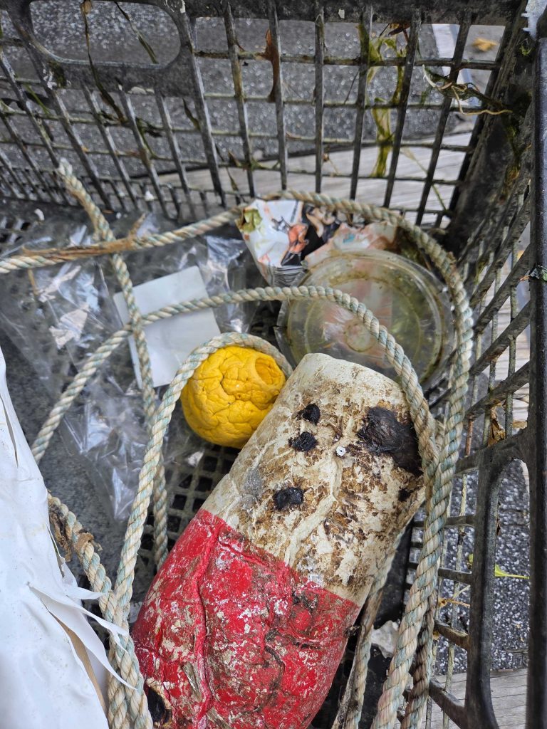 trash collected whne kayaking