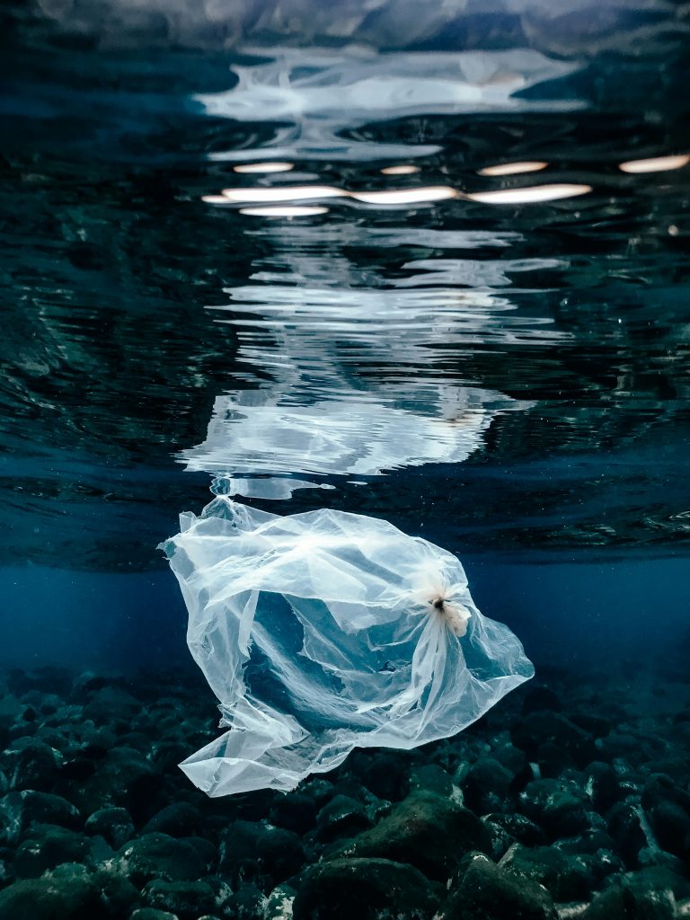 plastic in the environment